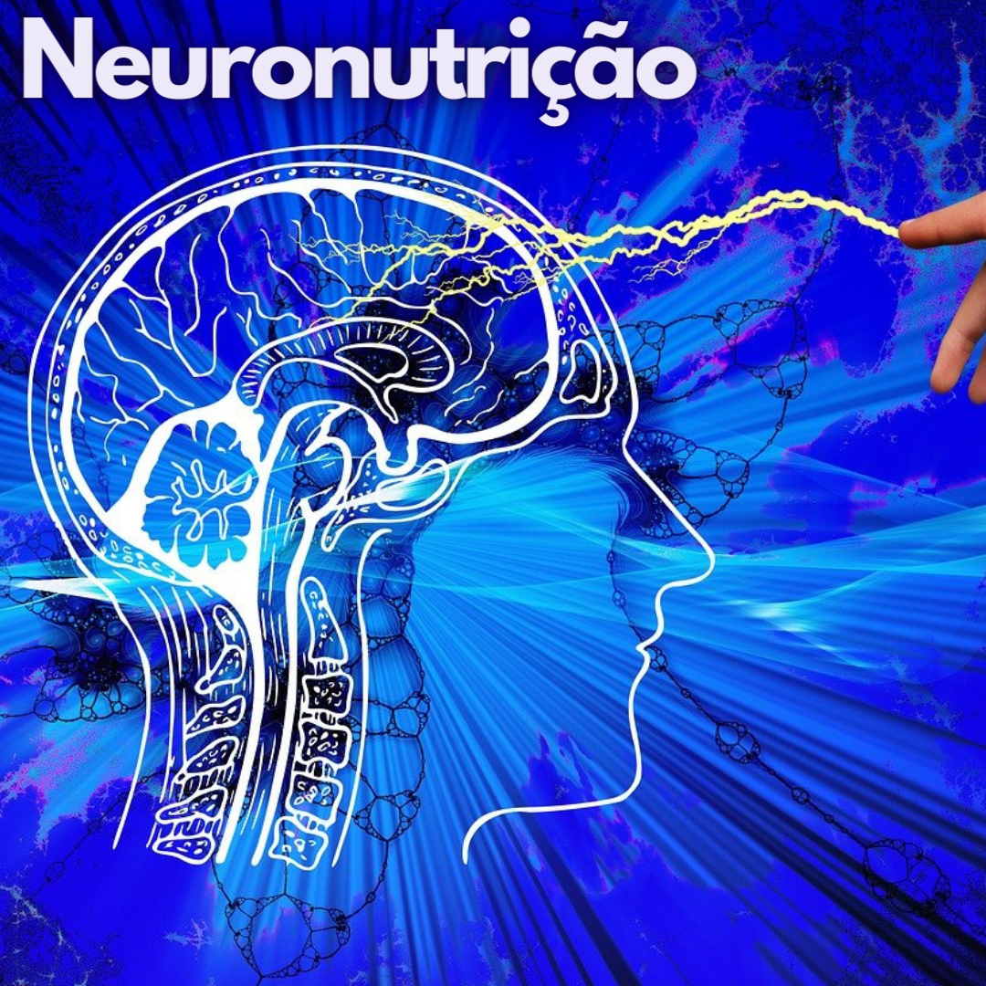Neuronutricao