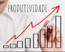Produtividade pela liderança situacional